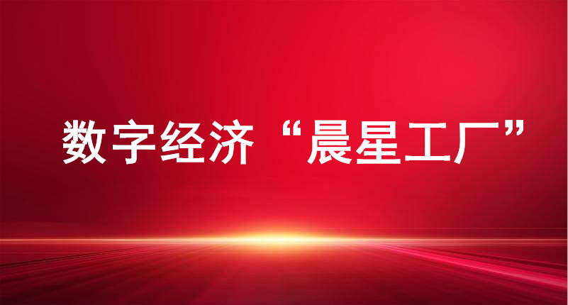 裕航合金、長(zhǎng)壽花食品入選山東省首批數(shù)字經(jīng)濟(jì)“晨星工廠”